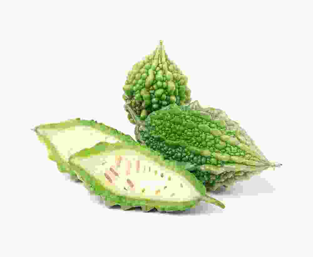 Green Bitter Melon Gourd