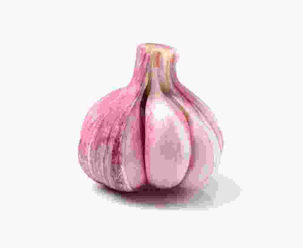 German Porcelain Garlic - Image 3